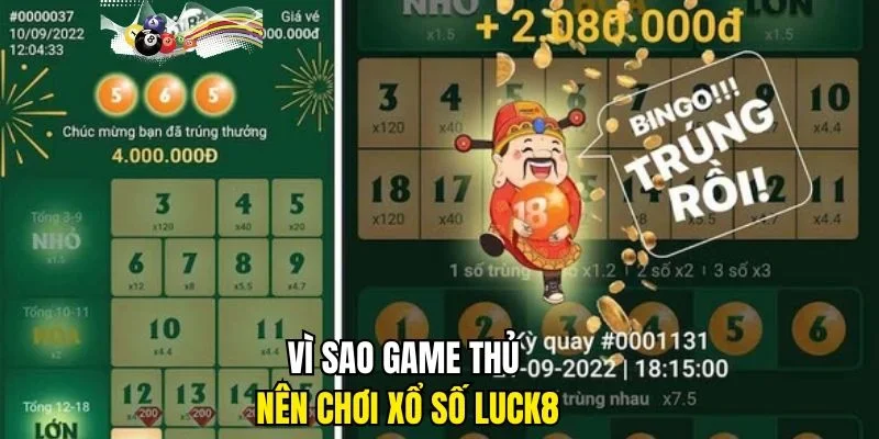 Vì sao game thủ nên chơi xổ số LUCK8